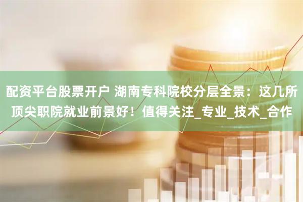 配资平台股票开户 湖南专科院校分层全景：这几所顶尖职院就业前景好！值得关注_专业_技术_合作
