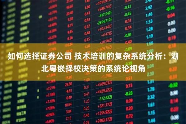 如何选择证券公司 技术培训的复杂系统分析：湖北粤嵌择校决策的系统论视角